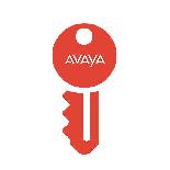 Код активации Avaya IP Office 500 teleworker 20 ADI LIC